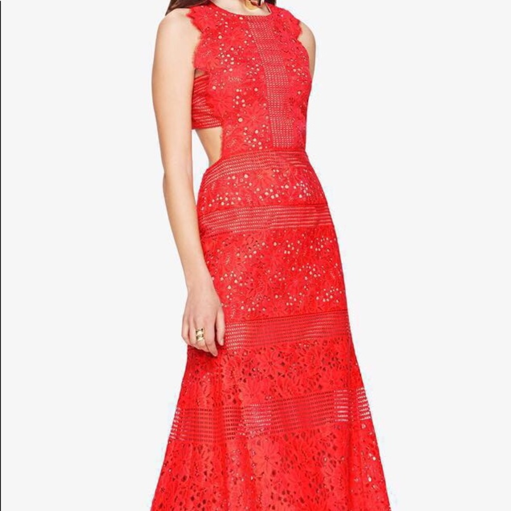 BCBG Maxazria Merida Floral Lace Gown/Dress